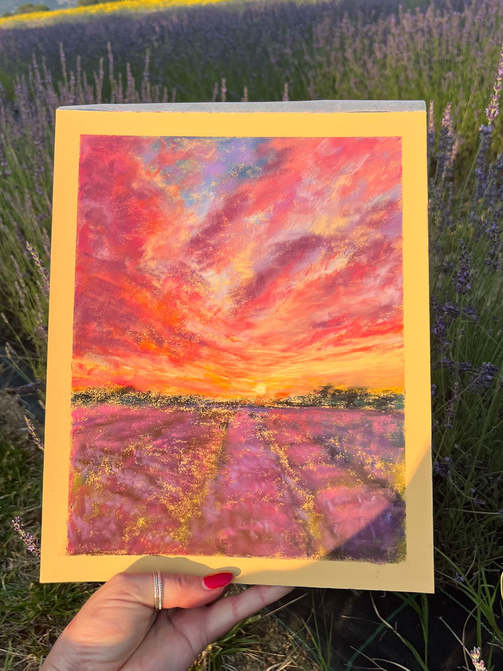 Lavender Hour, Assisi
