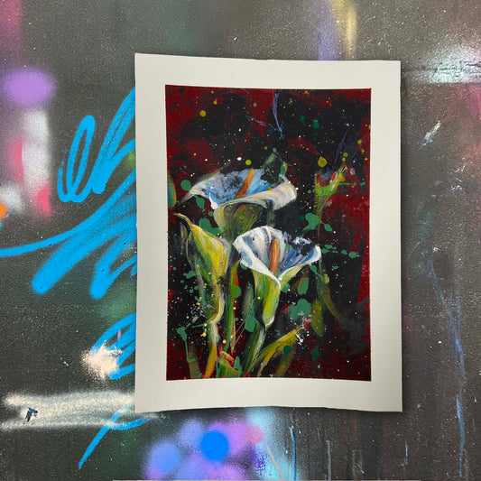 Zantedeschia - Artwork on Paper
